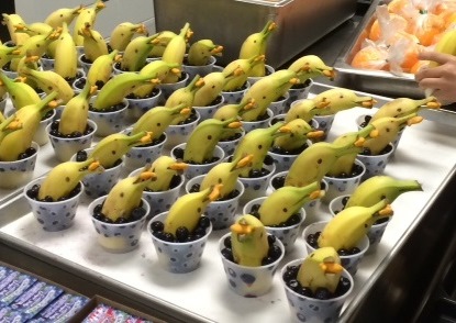 Pittsburg Dolphins